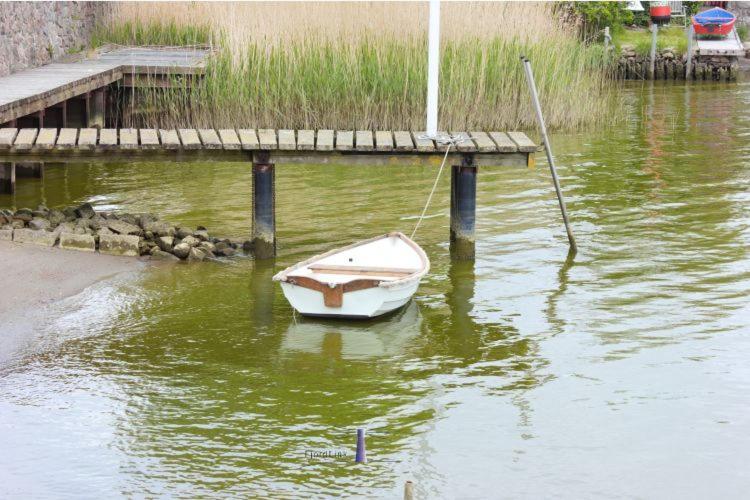 Hausboot Fjord Aries Mit Dachterrasse In Schleswig Hotell Exteriör bild